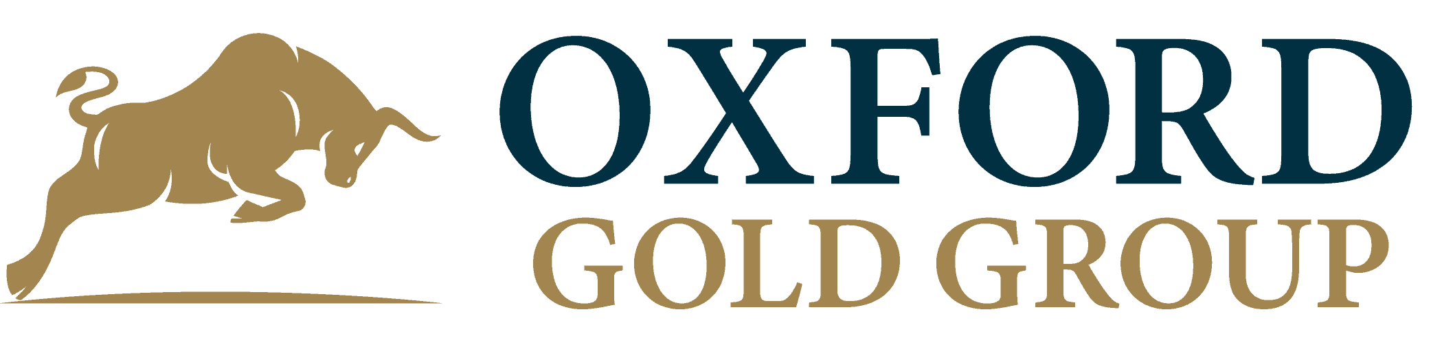 Oxford Gold Group Review